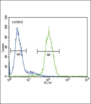GLA Antibody (N-term)抗体，orb142