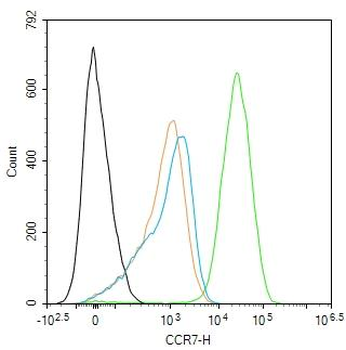 CCR7 Recombinant Rabbit Monocl