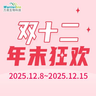 双十二年末狂欢