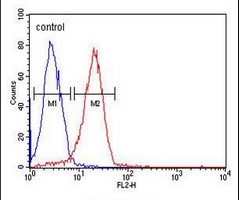 CD44 Antibody抗体，orb1473982，bio