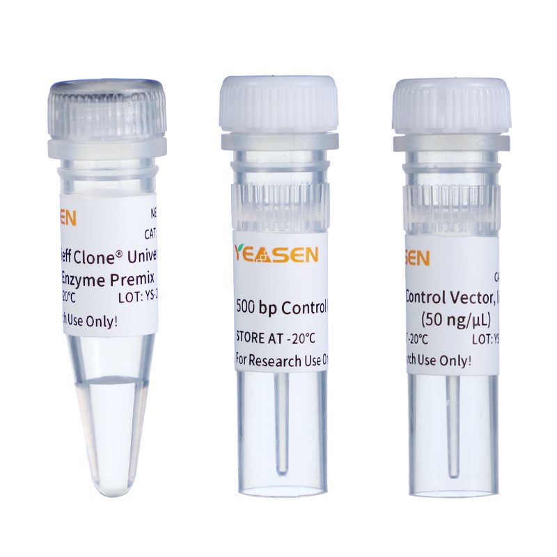 一步法多片段无缝克隆试剂盒(用于同源重组)