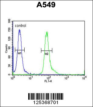 CT112 Antibody (Center)抗体，orb2