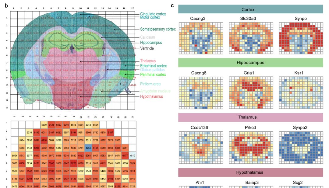 助力前沿｜π-HuB 数据工厂发表无人化运行蛋白质组学体系新成果