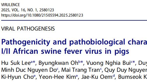 2025年重磅研究：更快、更毒、更难防！越南“超级重组”非洲猪瘟毒株5.5天致死，现有疫苗宣告失守？