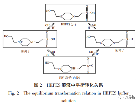缓冲溶液是许多生化反应、生产、实验过程中的重要溶液——浅谈缓冲液HEPES