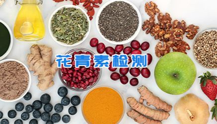 花青素全指标检测服务（总量 / 单体 / 辅助指标）及多领域解决方案