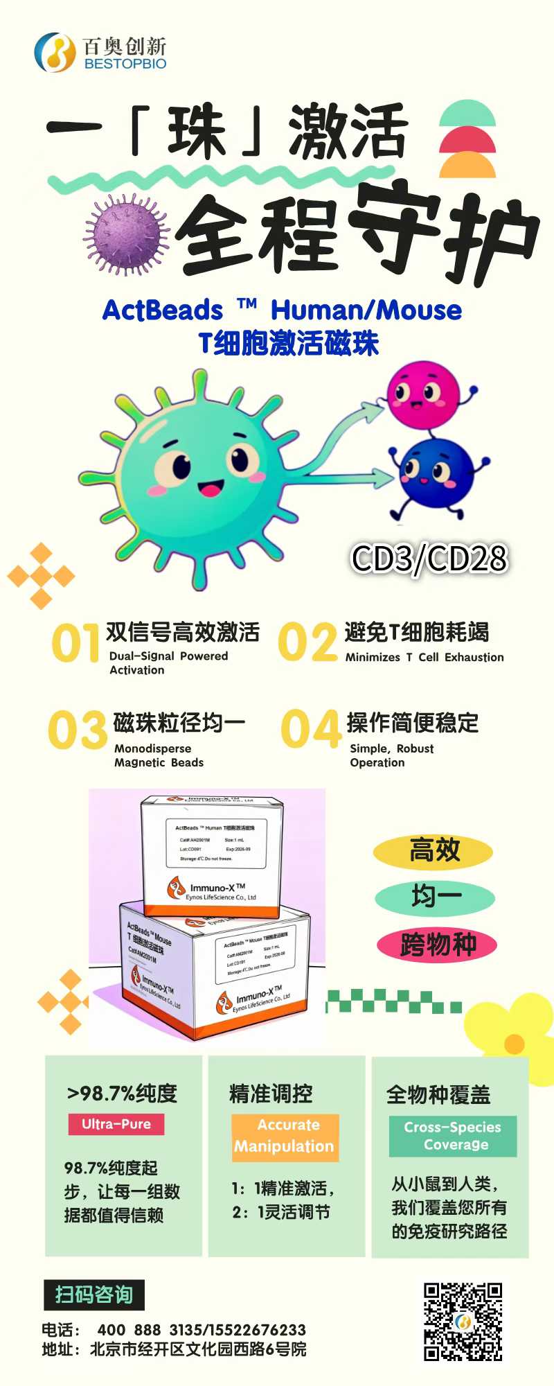 T细胞研究的革命性工具——ActBeads™激活磁珠上线！