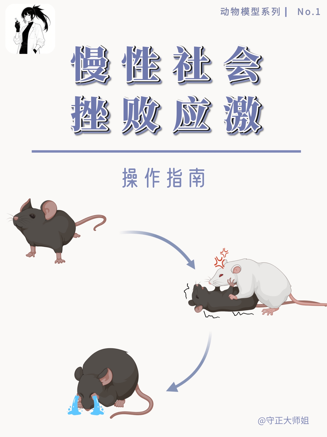 10天逼疯小鼠？CSDS抑郁造模全揭秘！