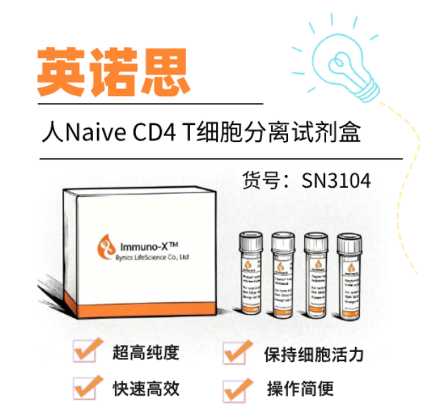 T细胞研究的革命性工具——ActBeads™激活磁珠上线！