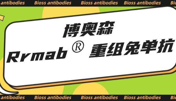 精品推荐 | 博奥森 Rrmab®重组兔单克隆抗体