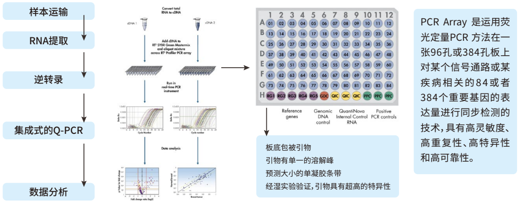 微流控PCR芯片:技术原理、分类与应用进展