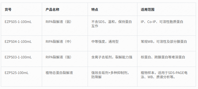 实验指南 | 蛋白样品制备1——细胞裂解完全指南