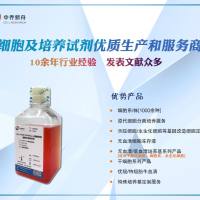 绵羊小肠粘膜上皮细胞永生化专用培养基