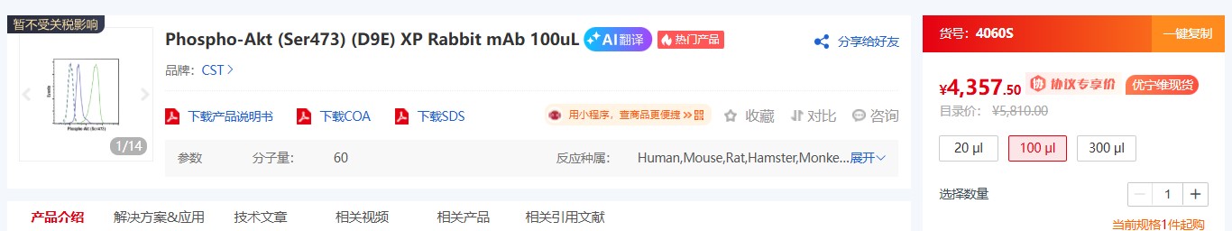 CST 信号通路抗体:精准靶向的科研利器