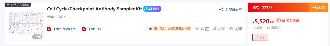 CST 信号通路抗体:精准靶向的科研利器