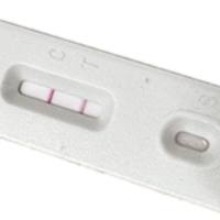 合胞病毒抗原检测卡（胶体金法）