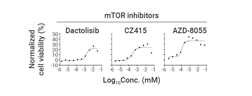 前沿进展 ｜ Cell 新发现：Mitoxyperilysis —— 新的细胞溶解性死亡途径