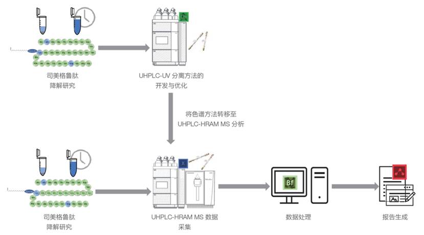 UHPLC-HRAM MS 鉴定司美格鲁肽降解产物及杂质