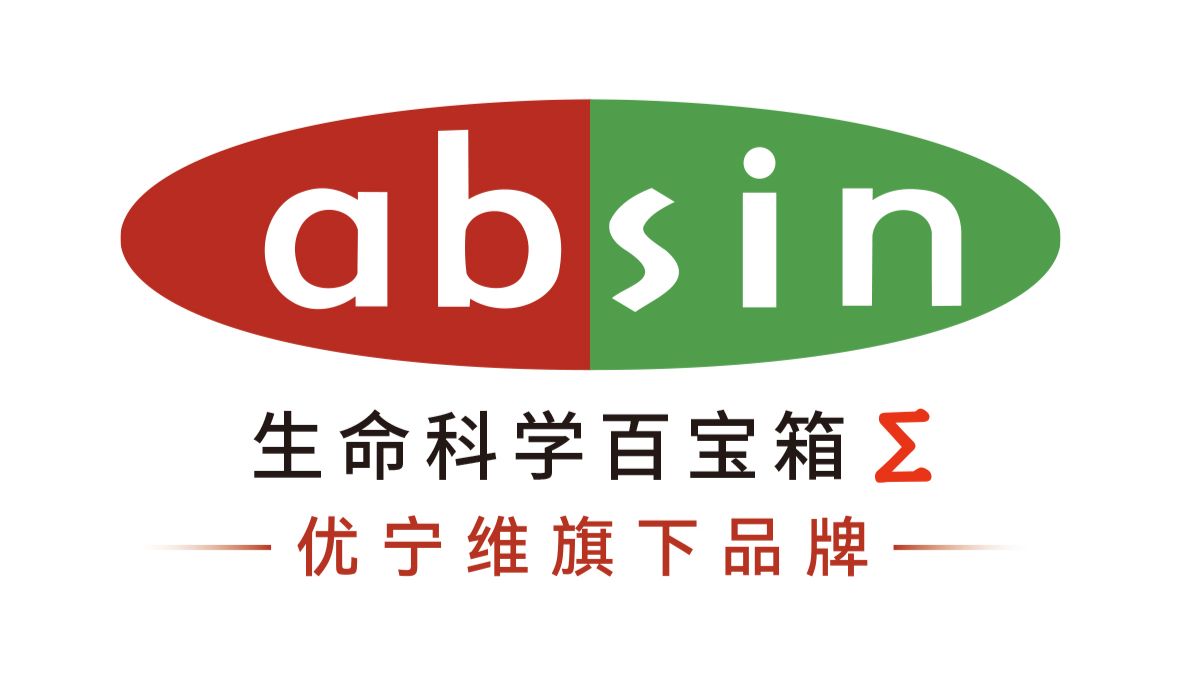 内皮、间皮、上皮、间叶｜四大组织关系全解析（结合临床实践与研究动态）