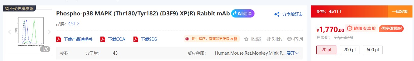 CST 磷酸化抗体核心知识解析