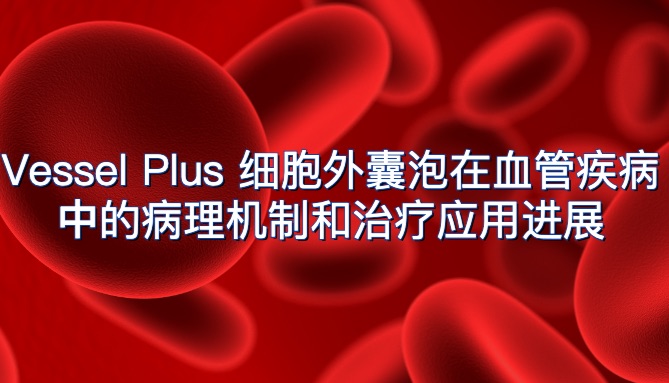 Vessel Plus 细胞外囊泡在血管疾病中的病理机制和治疗应用进展