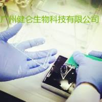 病毒性脑膜炎/脑炎检测试剂盒21种病原体 