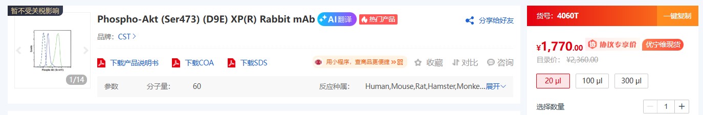 CST 磷酸化抗体核心知识解析