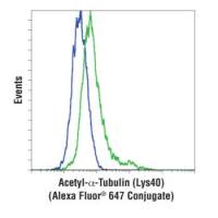 Acetyl-α-Tubulin (Lys40) (D20G3) XP® Rabbit mAb
