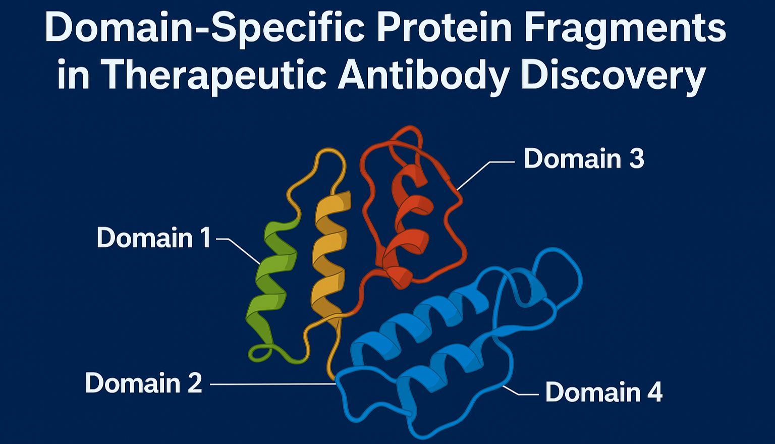 靶点蛋白不同结构域蛋白片段在治疗性抗体开发中的应用