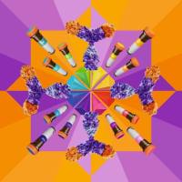 B7-H4 Antibody, anti-human, Vio® Bright V600, REAfinity™, 30 tests in 60 µL