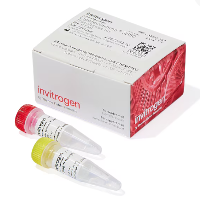 lipo3000转染试剂赛默飞核心优势