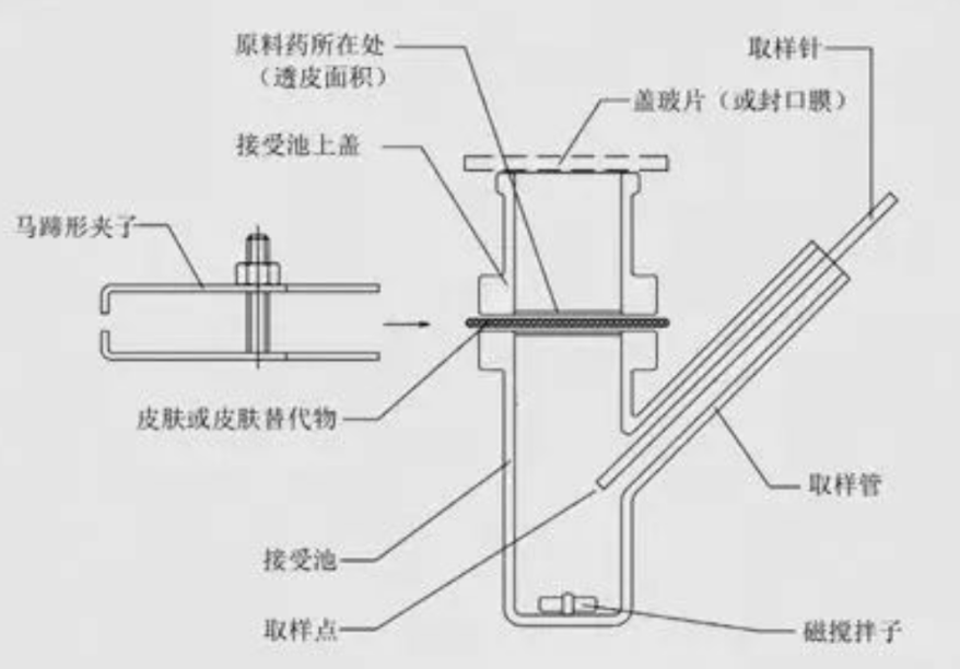 体外透甲——甲真病菌药物研发的关键工具