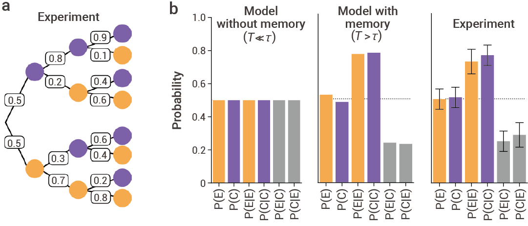 趣味科普 ｜ 颠覆! 细胞迁移竟也有“记忆”！