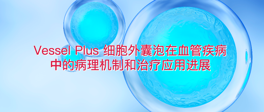 Vessel Plus 细胞外囊泡在血管疾病中的病理机制和治疗应用进展