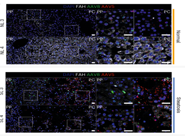 新闻图片3