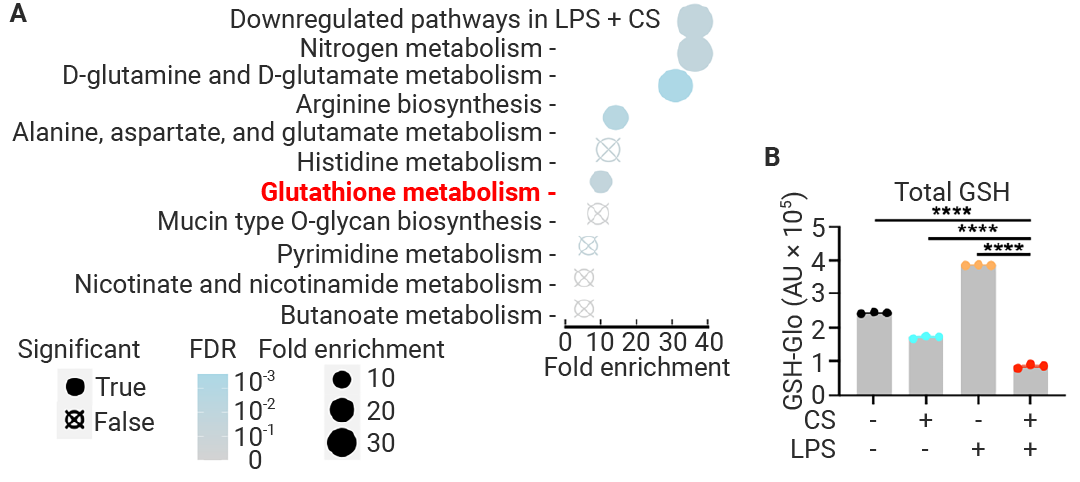 前沿进展 ｜ Cell 新发现：Mitoxyperilysis —— 新的细胞溶解性死亡途径