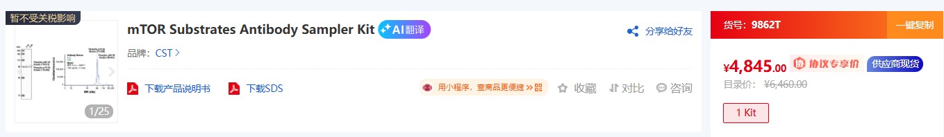CST 信号通路抗体:精准靶向的科研利器