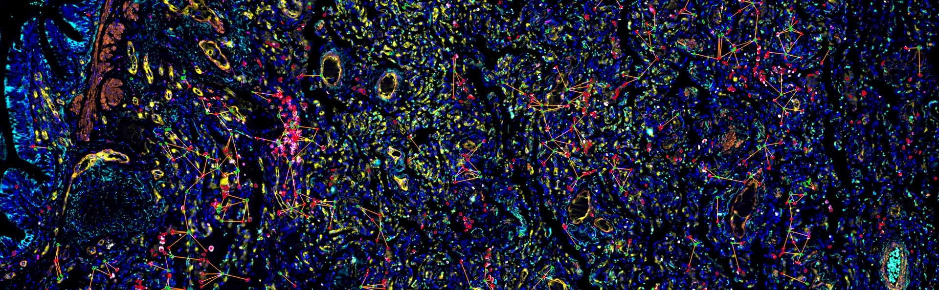 StrataQuest 8.0版本
