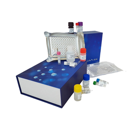 上海机纯生物ELISA试剂盒操作核心要点