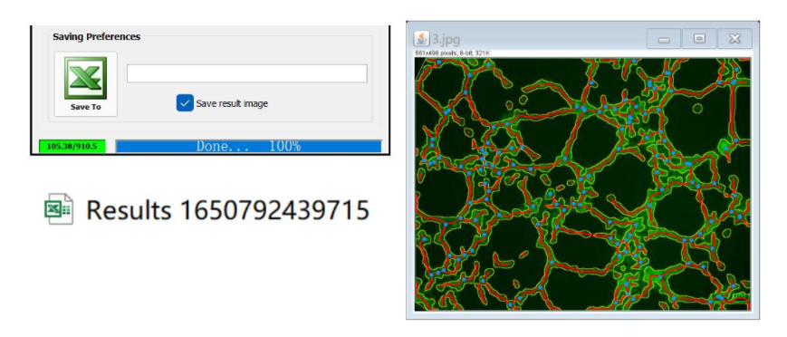 血管形成实验 —— 精通篇