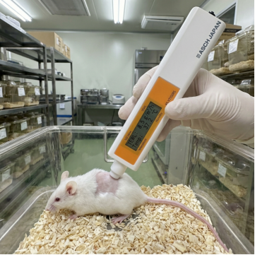 钙内流SOCE导致皮肤屏障受损的钙信号调控分子机制