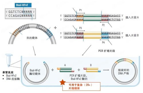 技术资料图片5