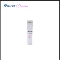 TSnanofect RNAi 专用转染试剂