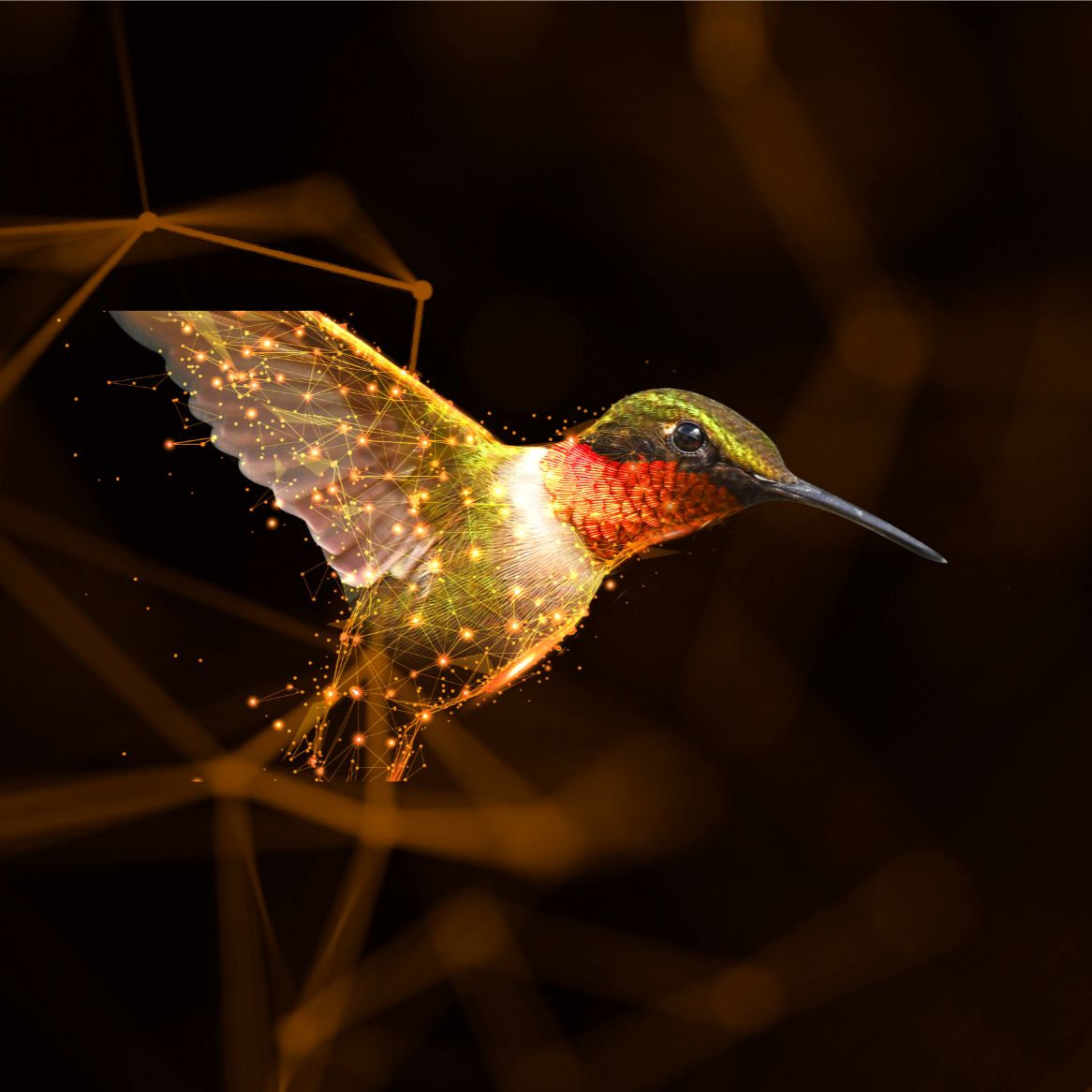 StrataQuest 8.0版本