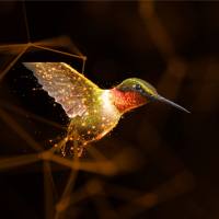 StrataQuest 8.0版本