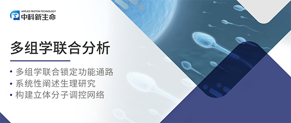 NC项目文章 | 南方医科大学陈振国等多组学研究揭秘：PRDX1调控的精子活力新机制