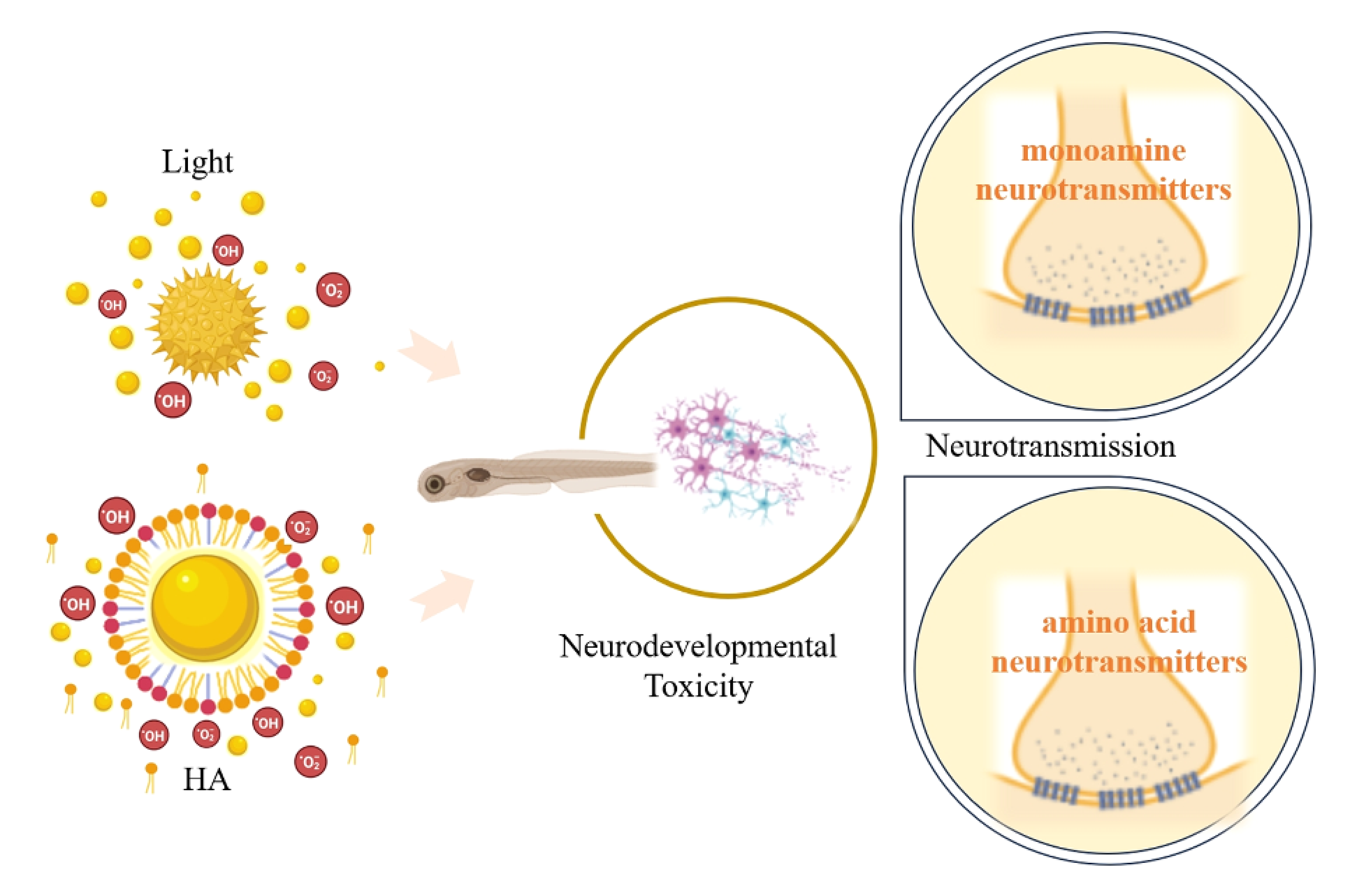 四篇连发！累计 IF 超 40！看广州大学闫兵教授团队如何用代谢组解码环境毒物神经影响的毒性机制？