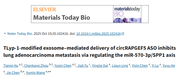 科研选题新思路！tLyp-1修饰外泌体介导ASO递送+ ceRNA网络，肺腺相关干预研究创新点直接学~