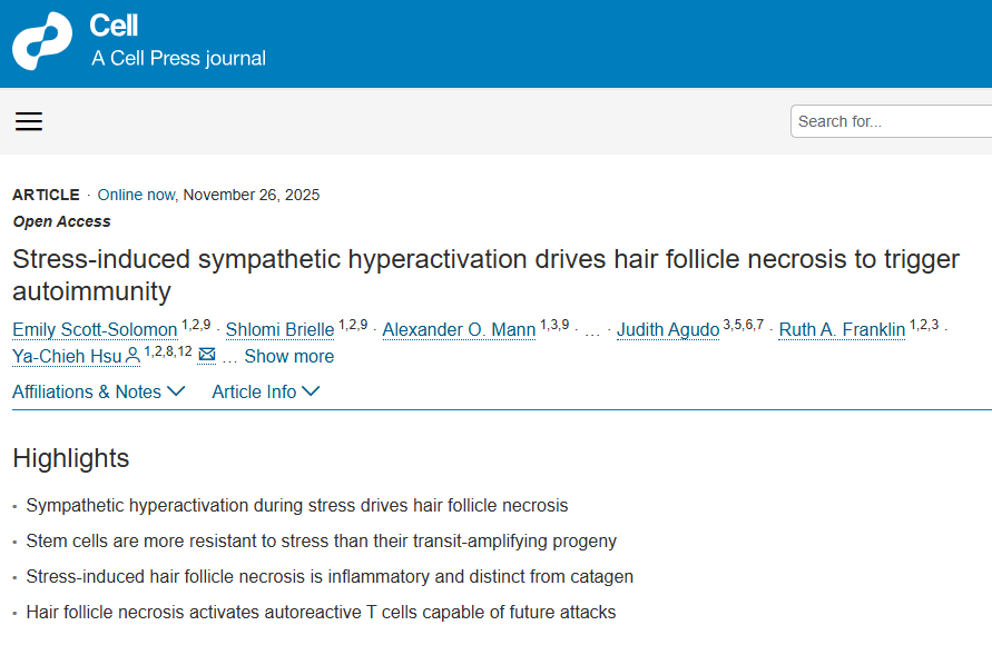 打工人的“秃”然暴击！Cell文献预警：压力大真的会变秃