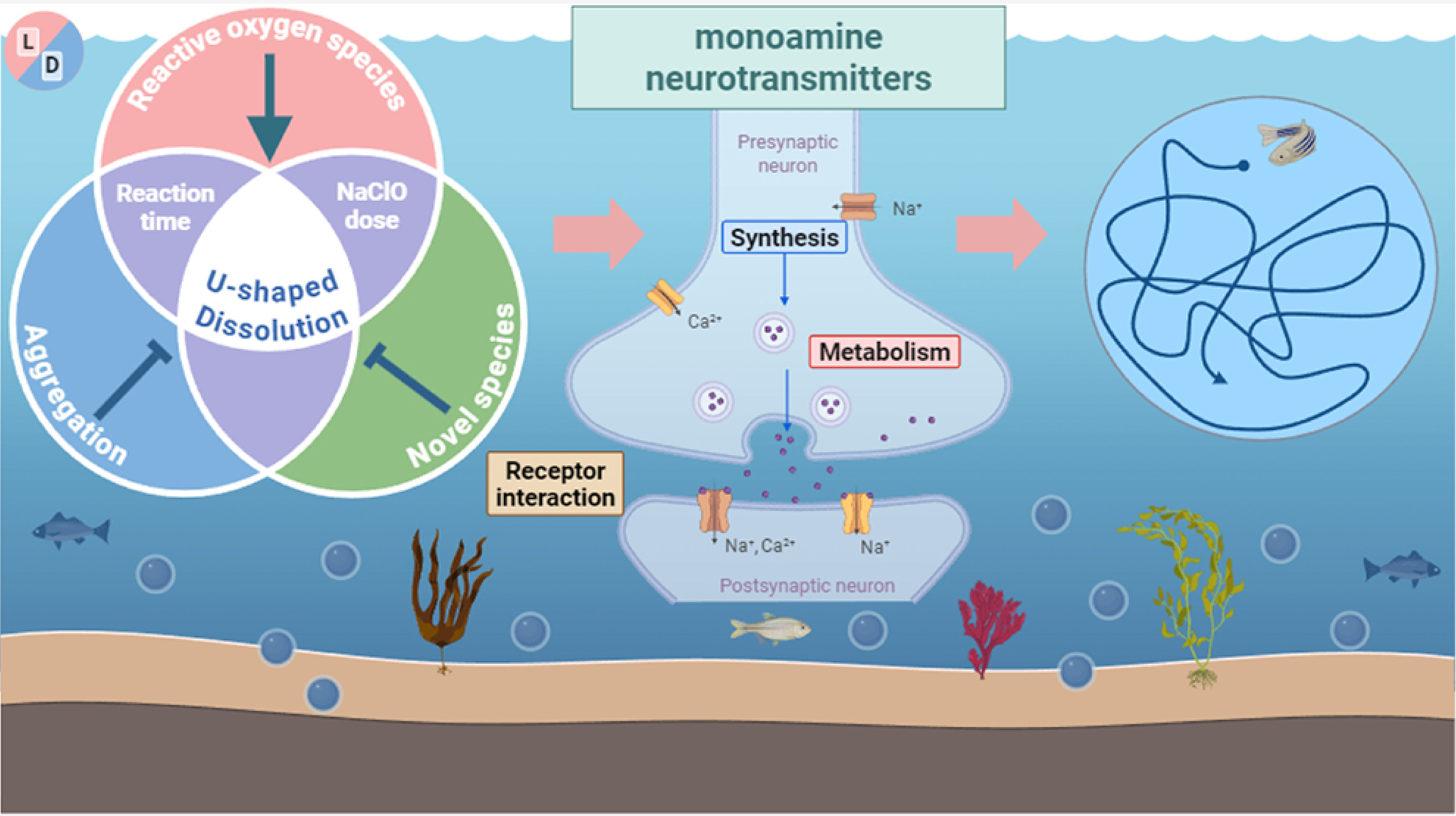四篇连发！累计 IF 超 40！看广州大学闫兵教授团队如何用代谢组解码环境毒物神经影响的毒性机制？